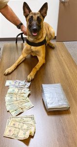 K9 Fraya with recovered drugs and cash